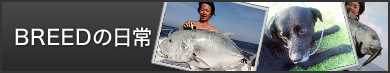 BREEDの日常