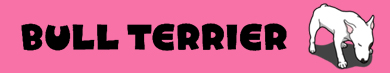 BULL TERRIER(ブルテリア)