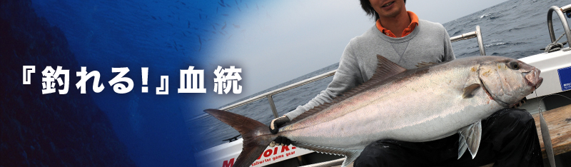 『釣れる！』血統