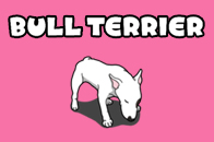 BULL TERRIER（ブルテリア）